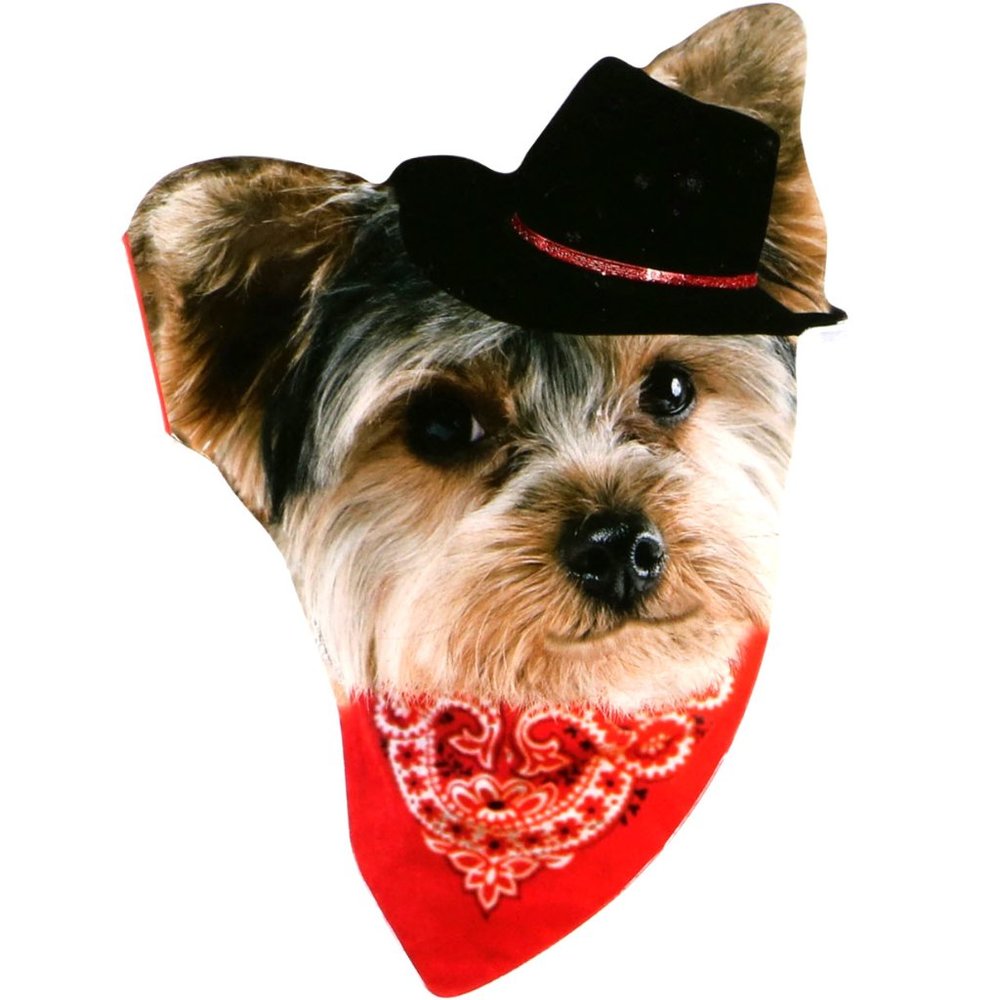 Dog in a Hat and Bandana Notebook